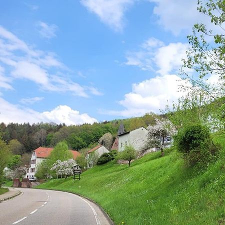 Family House Eberbach (Rhein-Neckar-Kreis) Exterior photo