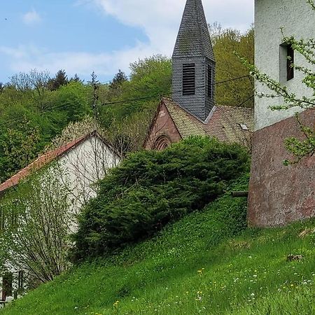 Family House Eberbach (Rhein-Neckar-Kreis) Exterior photo