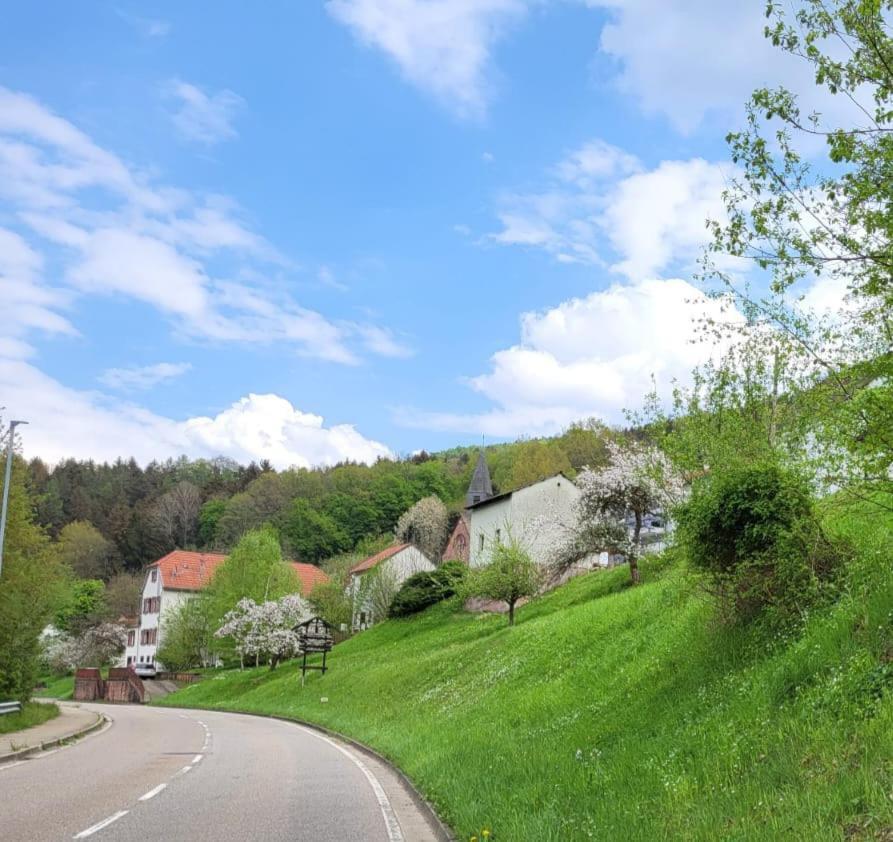 Family House Eberbach (Rhein-Neckar-Kreis) Exterior photo