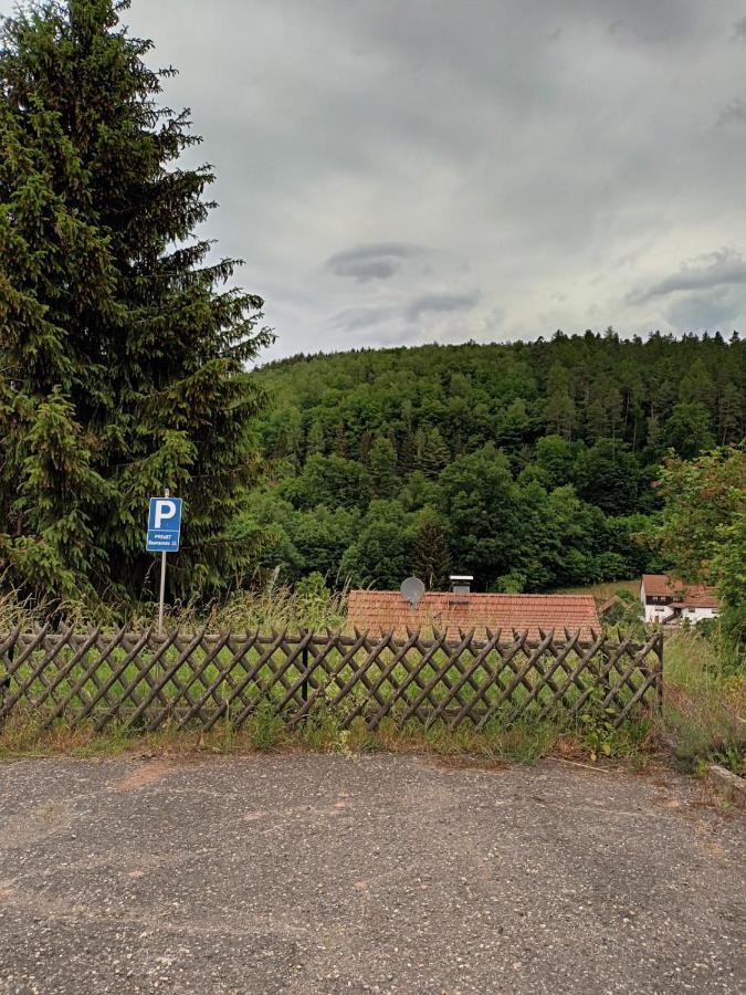 Family House Eberbach (Rhein-Neckar-Kreis) Exterior photo