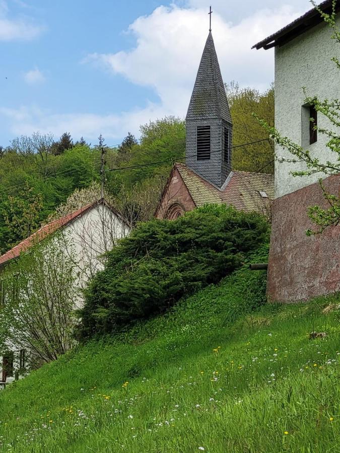 Family House Eberbach (Rhein-Neckar-Kreis) Exterior photo